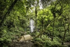 FJÄLLRÄVEN Tunnelzelt Abisko Lite 2 2 Pers., Farbe Pine Green, Unisex Tunnelzelt Abisko Lite 2 -Camping Fach Geschäfte Abisko Lite 2 5 1280x1280