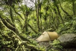 FJÄLLRÄVEN Tunnelzelt Abisko Lite 2 2 Pers., Farbe Pine Green, Unisex Tunnelzelt Abisko Lite 2 -Camping Fach Geschäfte Abisko Lite 2 6 1280x1280