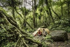 FJÄLLRÄVEN Tunnelzelt Abisko Lite 2 2 Pers., Farbe Pine Green, Unisex Tunnelzelt Abisko Lite 2 -Camping Fach Geschäfte Abisko Lite 2 7 1280x1280