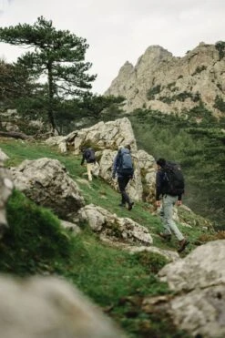 FJÄLLRÄVEN Wanderrucksack Kajka 35 M/L 35l 620 - Green Wanderrucksack Kajka 35 M/L -Camping Fach Geschäfte Mood SS23 SilvanoZeiter Kajka35 0470 EXP 2028 02 01 1280x1280