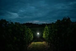 Ledlenser H7R Signature Stirnlampe H7R Signature Stirnlampe -Camping Fach Geschäfte ledlenser h7r signature 502197 trailrunner3bQOFJYJw0kgIz 1280x1280