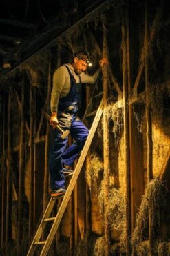 Ledlenser H7R Work Stirnlampe H7R Work Stirnlampe -Camping Fach Geschäfte ledlenser h7r work 502195 outdoorFPxp6nC4NY7b6 1280x1280