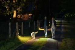 Ledlenser P7R Core Taschenlampe P7R Core Taschenlampe 13 Ledlenser P7R Core Taschenlampe P7R Core Taschenlampe -Camping Fach Geschäfte ledlenser p7r core 502181 home lifeWZQiU9DWwooMX 1280x1280